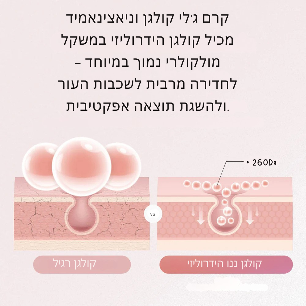 קולגן ג'לי – לחות, מיצוק וזוהר LAVIN VUITTON